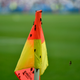 Moths land on a corner flag before the Euro 2016 final soccer match between Portugal and France at the Stade de France in Saint-Denis, north of Paris, Sunday, July 10, 2016. (Image: AP Photo/Martin Meissner)